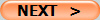 NEXT   >