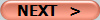 NEXT   >
