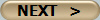 NEXT   >